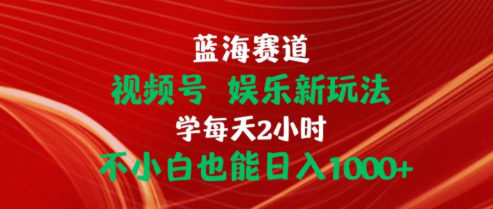 （10818期）蓝海赛道视频号 娱乐新玩法每天2小时小白也能日入1000+-518网创